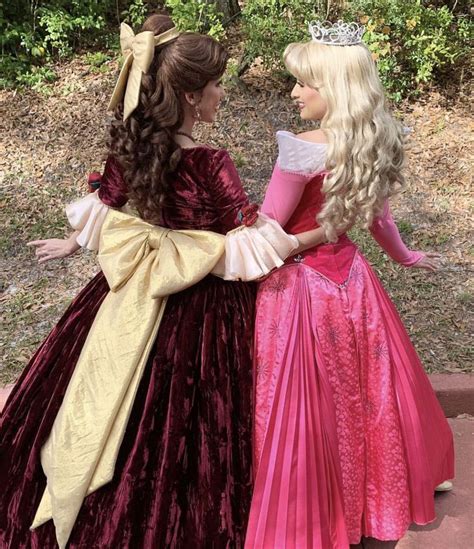 Belle And Aurora Disney Face Characters Gay Disney Frozen Disneyland