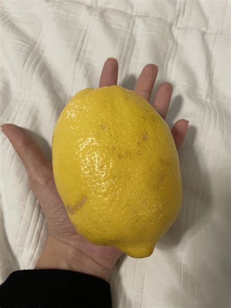 This Big Ass Lemon R Mildlyinteresting