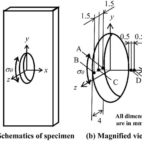 Coordinate System Used For The Specimen Download Scientific Diagram