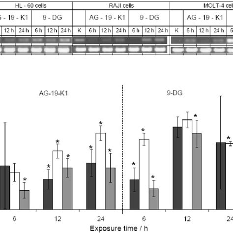Effects of 9-DG and AG-19-K1 on PNP gene expression. (a) Agarose gel ...