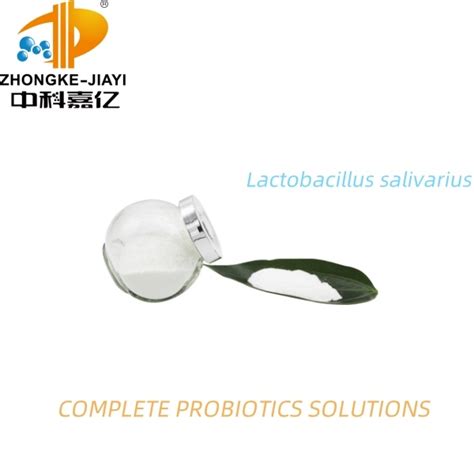 High Activity Food Grade Lactobacillus Salivarius Probiotics Powder For