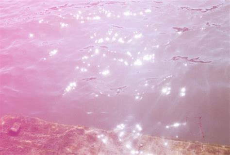 pink slime  pool treat  prevent pink algae pool marvel