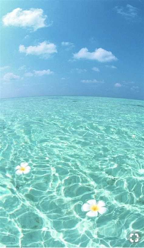 Teal Ocean Wallpapers 4k Hd Teal Ocean Backgrounds On Wallpaperbat