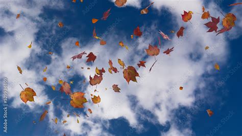 Seasonal Wallpaper with Fall Leaves blowing in the wind. Cloudy Sky ...