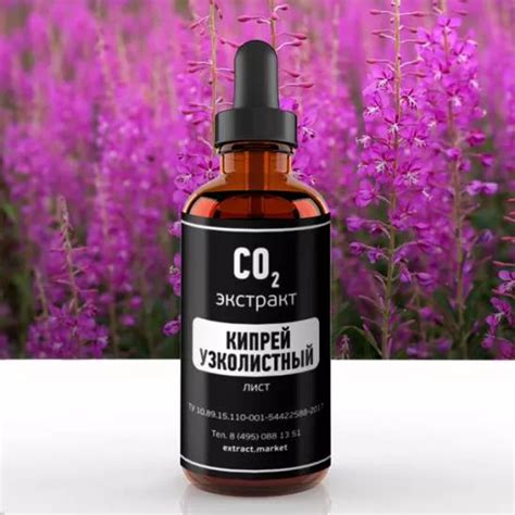 Купить СО2 экстракт кипрея узколистного в интернет-магазине Extract.Market