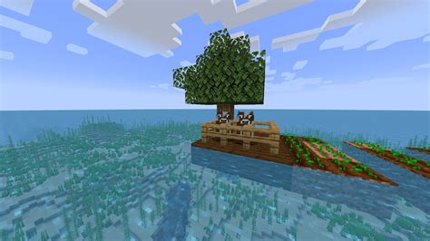 Raft Survival Minecraft Map