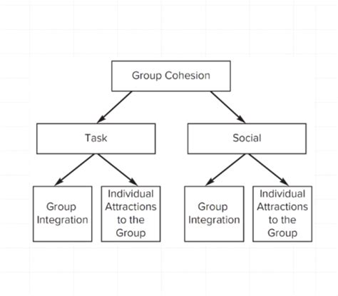 Chapter Cohesion Flashcards Quizlet