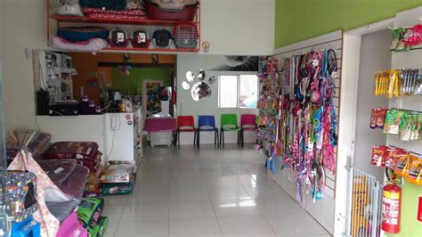 Como Transformar Garagem Em Loja Pet Shop Min Renda Em Foco