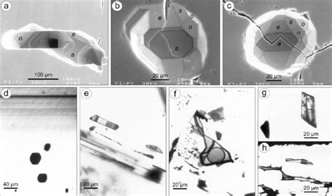 A H Primary Fluid Inclusions In Pyrite A C SEM Microphotographs Of