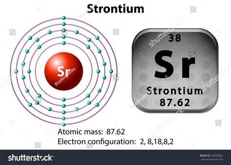 Symbol Electron Diagram Strontium Illustration Stock Vector Royalty Free 318705965 Shutterstock