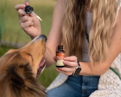 Nano CBD Pet Drops (THC-Free) | Koodegras Pets