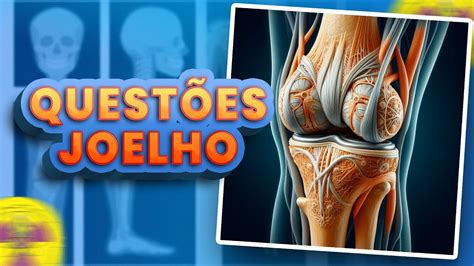 Quest Es Anatomia Do Joelho Youtube