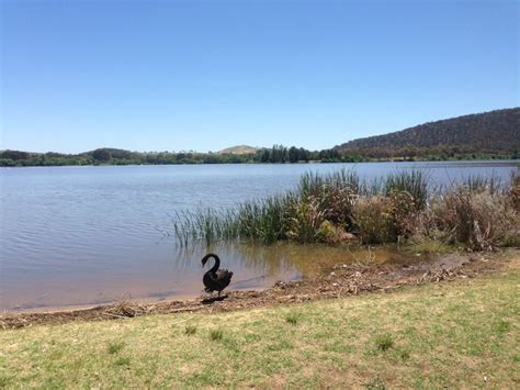 Yarralumla Bay