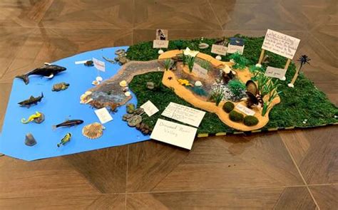 Ecosystem Diorama