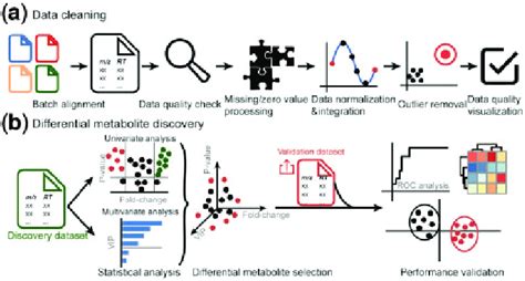 The Standardized Workflow For Ms Based Metabolomics Data Postprocessing