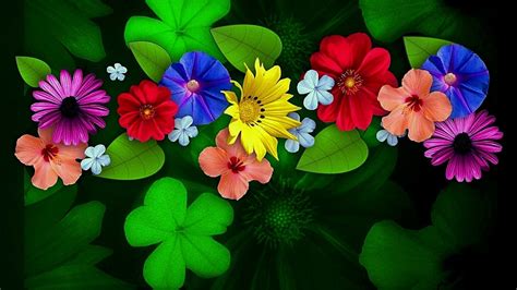 Download Clover Colorful Colors Artistic Flower Hd Wallpaper