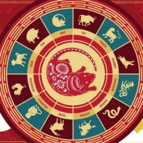 Introduction about Vietnamese Zodiac and Astrology – Xemngaydep.vn ...