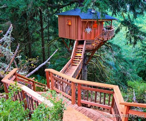 Pin On Casa Del Arbol Tree House