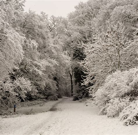 Snow In Thornwell Mark Hobbs Chepstow Flickr