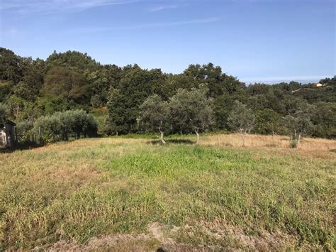 Quintas E Casas R Sticas Quintinha T Venda Em Aldeias E Mangualde