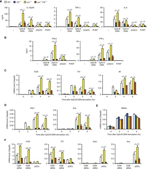 Lyn Kinase Suppresses The Transcriptional Activity Of Irf In The Tlr