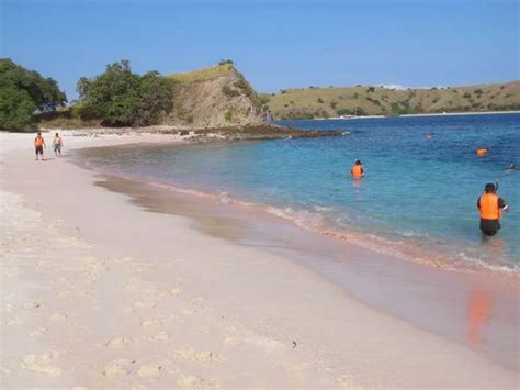 Pink Beach Flores | 1001 Islands