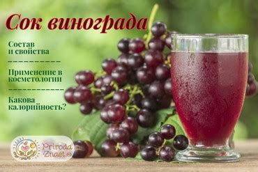 Сок лопуха: от чего помогает, как принимается