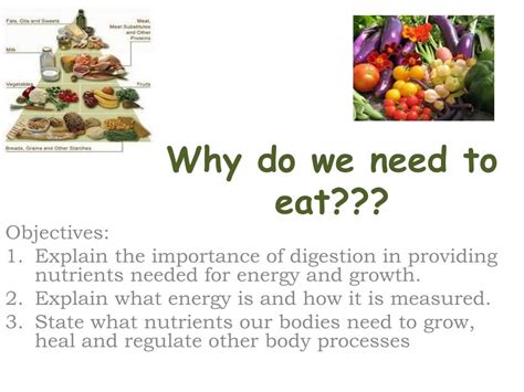 Ppt Why Do We Need To Eat Powerpoint Presentation Free Download