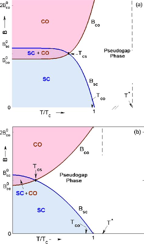 PDF Phase Diagram Of The Underdoped Cuprates At High Magnetic Field