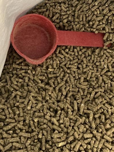 SWEET MEADOW FARM Timothy Pellets Adult Rabbit Food 40 Lb Bag Chewy