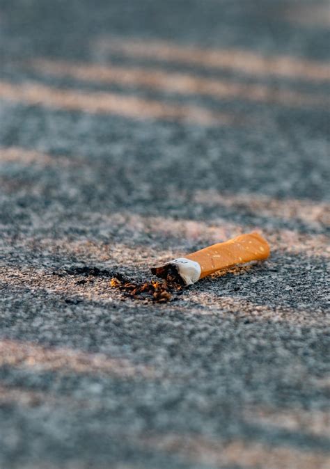 Free Cigarettes After Sex Cigarette Images Pixabay