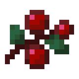 Sweet Berries | Minecraft Wiki | Fandom