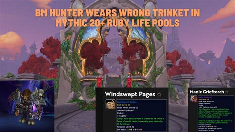 BM Hunter Wears Wrong Trinket In Mythic 20 Ruby Life Pools 10 0 5