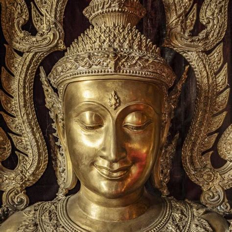 Интересные факты о Будде — Музей фактов