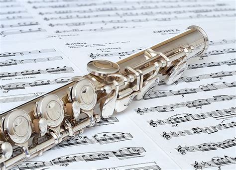 The flute: a guide to one of music's most exptressive instruments ...