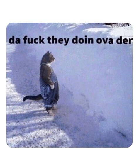 Da Fuck They Doing Ova Der Memes Imgflip
