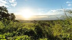 Barbados Holidays 2025/2026 | TUI.co.uk