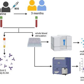 Schematic of study design. Created with BioRender.com. | Download ...