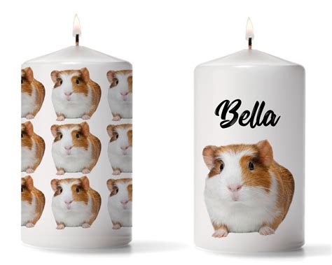 Guinea Pig Candle Guinea Pig Lover T Pet T Hamster T Candle