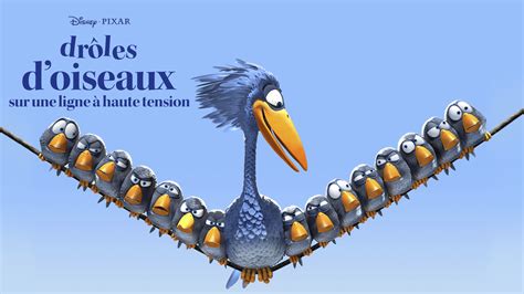 Résumé et casting Drôles d oiseaux sur une ligne à haute tension Film