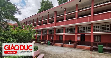 Trường tiểu học hot ở TP HCM khiến phụ huynh xếp hàng từ 2h sáng nộp hồ sơ sắp được nâng cấp