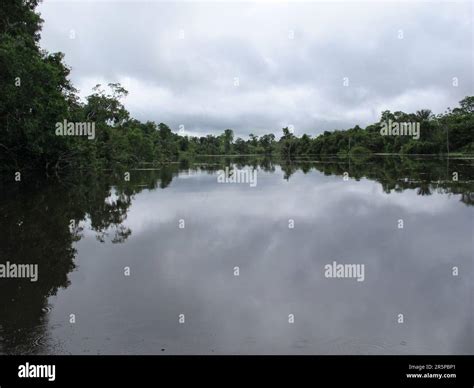 The Amazon River Peru In South America Stock Photo Alamy