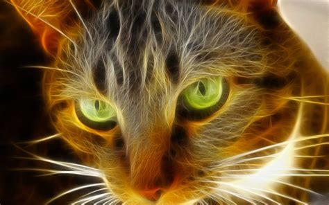 Fractal Cat: A Stunning HD Wallpaper