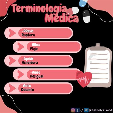 Terminología Médica 7 Yuleisy Roque Garcia uDocz