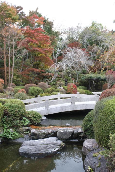 Japanese Water Garden by JadenDreamer on deviantART