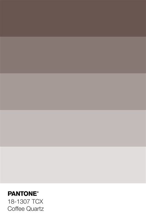 PANTONE 18 1307 TCX Coffee Quartz Color Tint Color Palette Fall