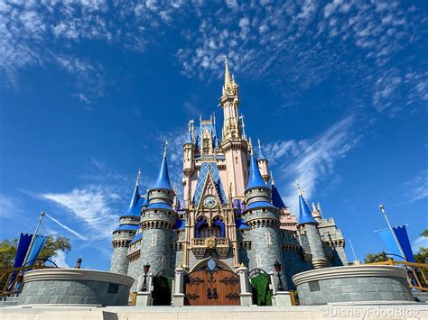 I'm a Disney Food Blog Reporter Living in Orlando — Here's What Every