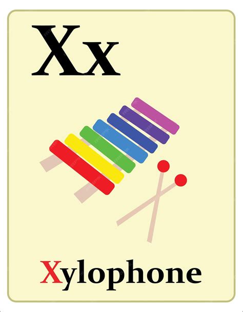 Flashcard Dellalfabeto Con La Lettera X Per Lo Xilofono Vettore Premium