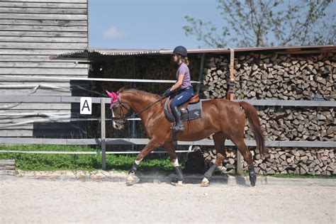 Reiten Mit Harmonie In Harmonie Mit Dem Pferd