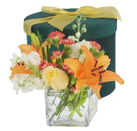 Calyx Flowers - Order Flowers | Send Floral Bouquets, Plants & Gifts ...